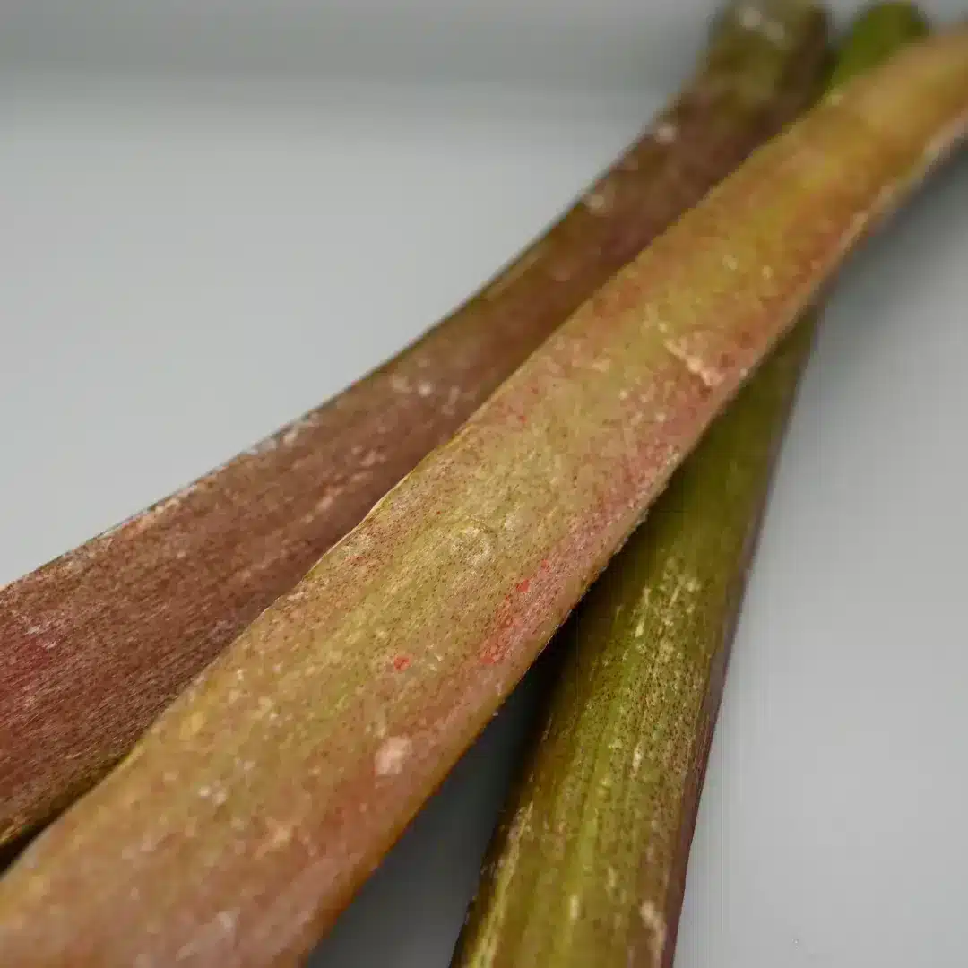Rhubarb-01
